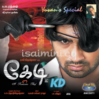 Kedi Album Poster