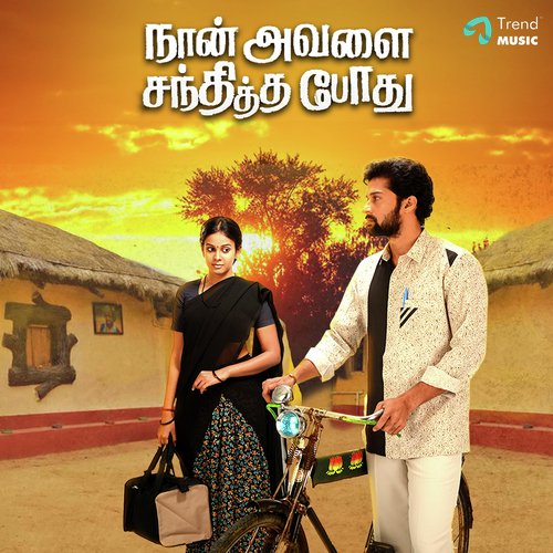 Naan Avalai Santhitha Pothu Album Poster