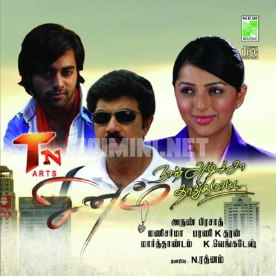 Sinam Naan Adicha Thanga Matten Album Poster