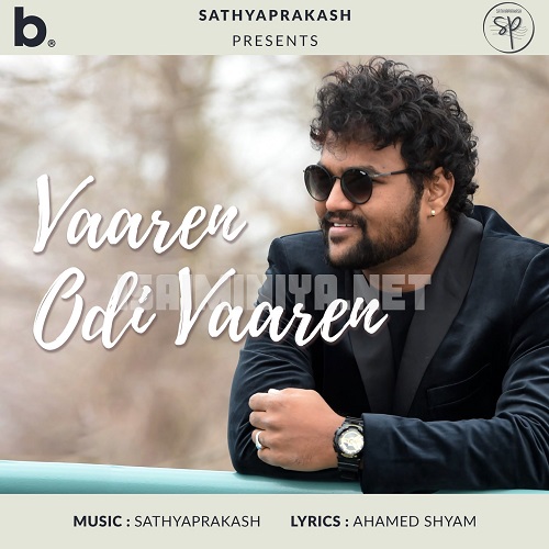 Vaaren Odi Vaaren Album Poster